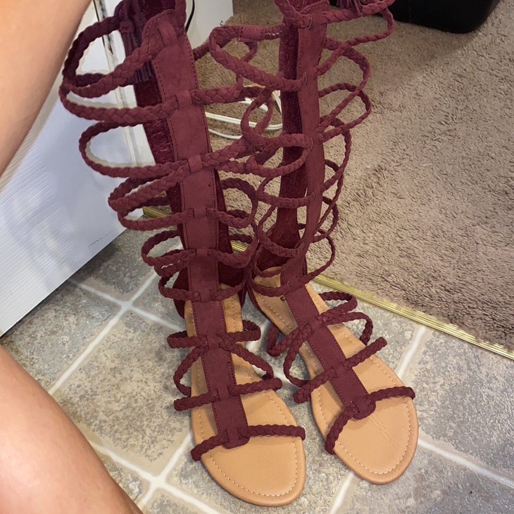 Cranberry gladiators